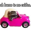 Animales 9