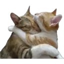 Animales 30
