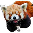 Animales 14