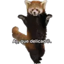 Animales 23