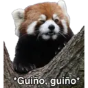 Animales 18