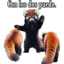 Animales 15