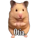 Animales 12