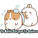Animales Kute 5