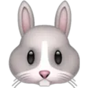 Animales1☆♡ 16