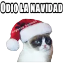 antinavidad 14