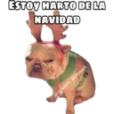 antinavidad 18