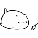 Fluffy pretty cat 18