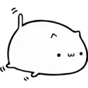 Fluffy pretty cat 13