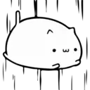 Fluffy pretty cat 5