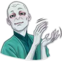 Lord Voldemort 21
