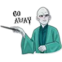 Lord Voldemort 10