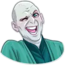 Lord Voldemort 24