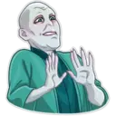 Lord Voldemort 13