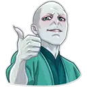 Lord Voldemort 25