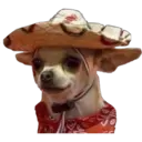 perritos reac. 4