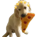 perritos reac. 17