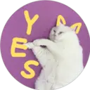 Y
S