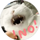 NO!