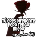 ❥Frases para mi crush vol.1 14