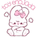 oponowa hot