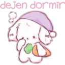 dejen dormir