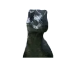 Jurassic Park (s.en movimiento) 21