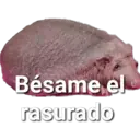 De todo 8 6