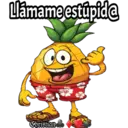 Llámame estúpid@
Christian