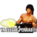 John
YA LLEGUÉ PERRAS!!!