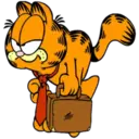 Garfield 2 30