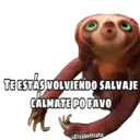 LOS CROODS •Emomar 24