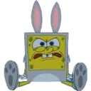 Bob 8