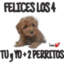 FELICES LOS 4
Ivana
TUYO+2 PERRITOS