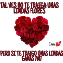 TAL VES NO TE TRATGA UNAS
LINDAS FLORES
Ivana
PERO SI TE TRAIGO UNAS LINDAS
GANAS 7W7
