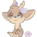 Tiernos 11