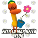 POCOYO 13