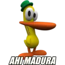 POCOYO 1