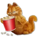 Garfield 13