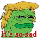 Trump-Pañero 10