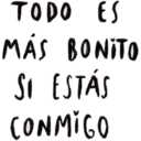 cursii 24