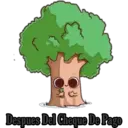 Antes Y Después 9