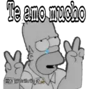 Homero sarcástico 15