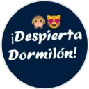 Pack de Novios 6 20