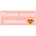 Para el Novio 2