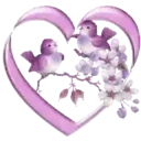 Corazón Violeta 1 Movi 4