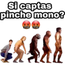 Si captas
pinche mono?
!#%&$ !#%&$