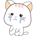 Kawaii Cat 14