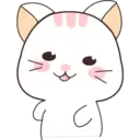 Kawaii Cat 5