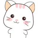 Kawaii Cat 11